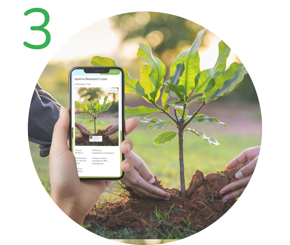 Track your tree